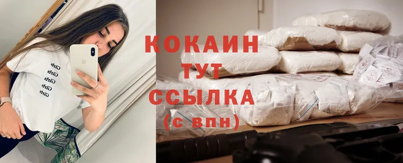 Cocaine Эквадор  Кологрив 