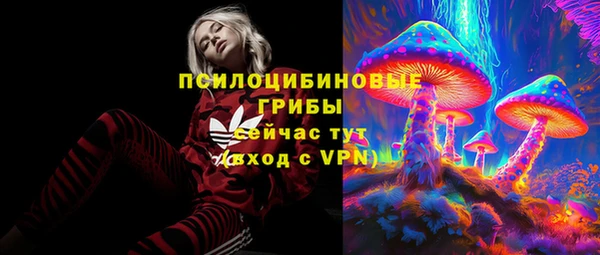 дмт Коряжма